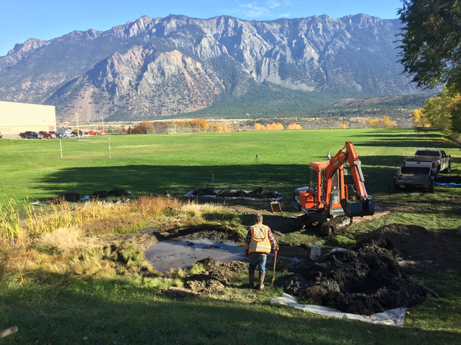 Wetland Restoration