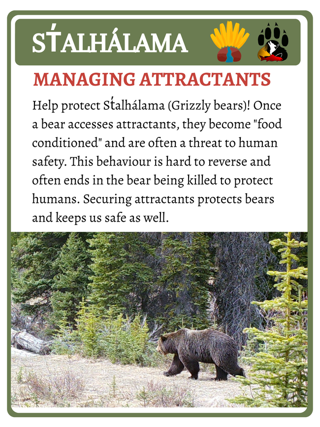 Managing Bear Attractants