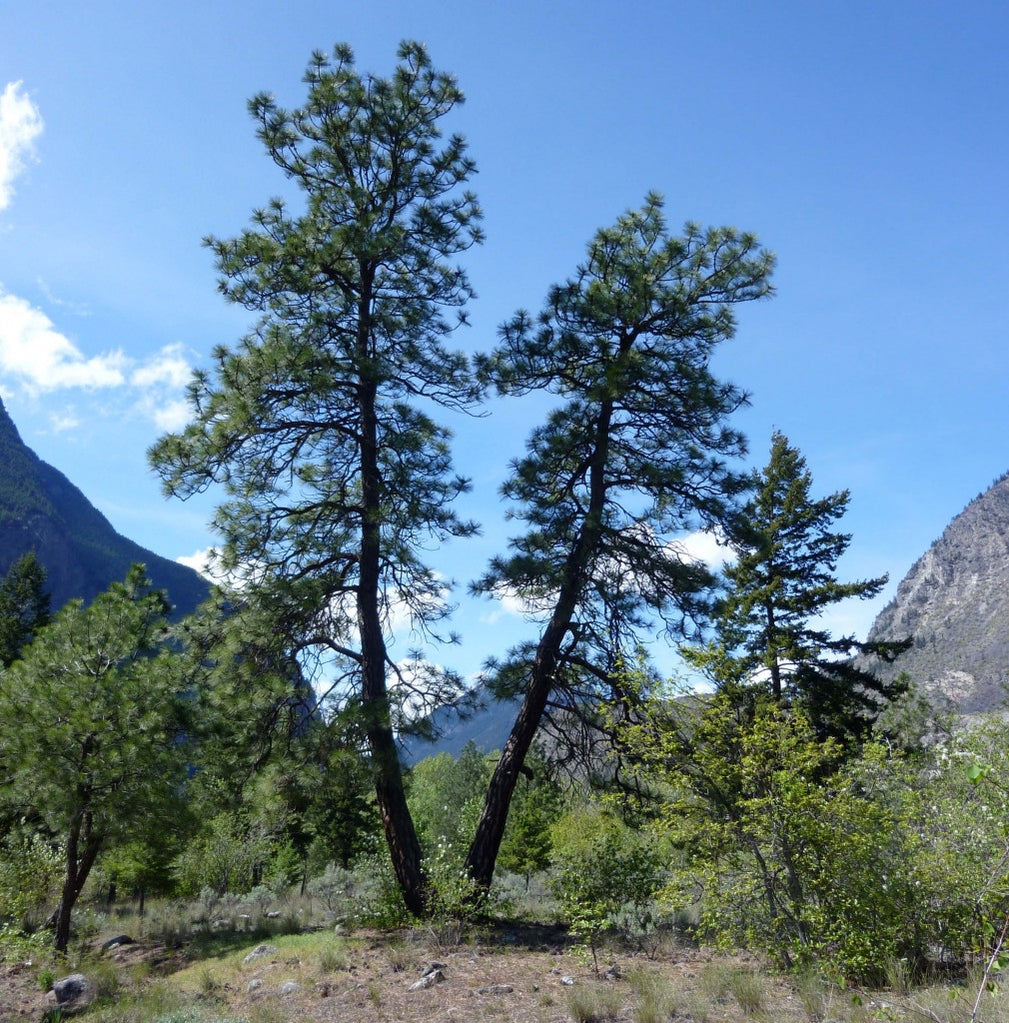 Products — Page 5 — Splitrock Environmental