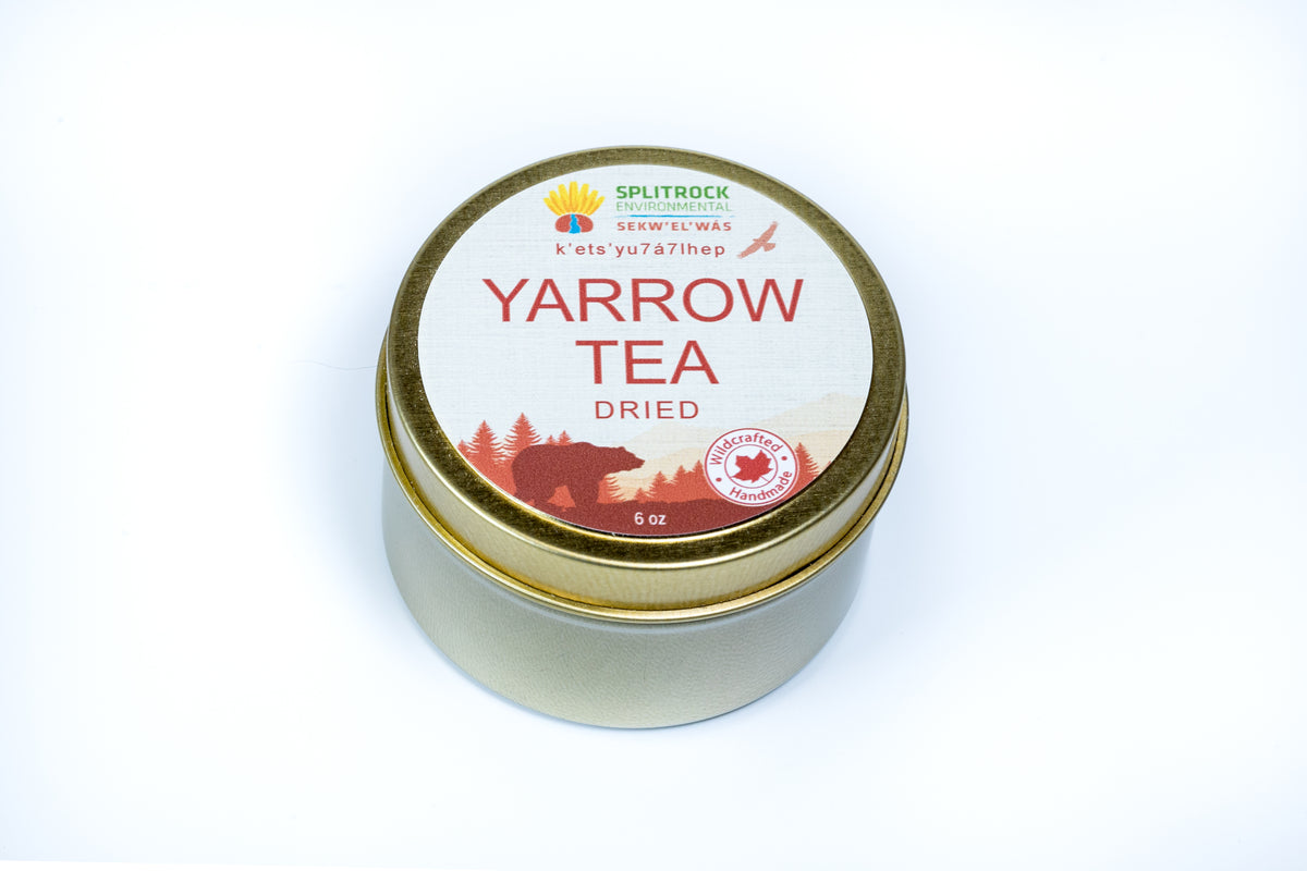 Yarrow Tea — Splitrock Environmental